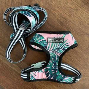 TWO Frenchie Bulldog Reversible Harness w/ ONE Coordinating Leash - Size S